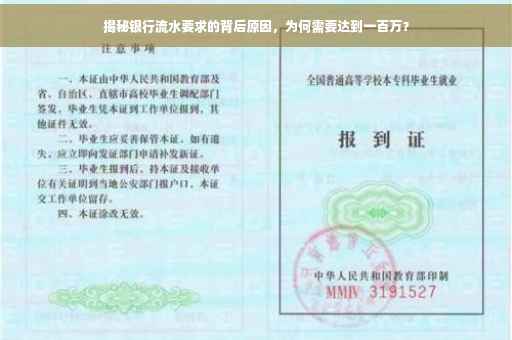 揭秘银行流水要求的背后原因，为何需要达到一百万？