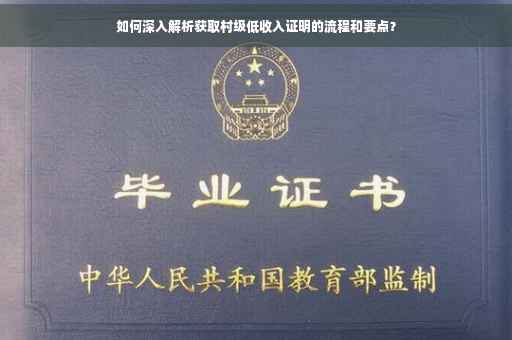 如何深入解析获取村级低收入证明的流程和要点？