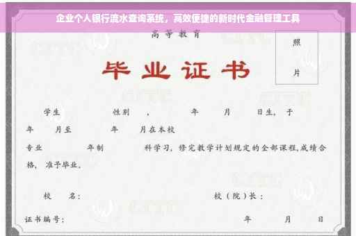 企业个人银行流水查询系统，高效便捷的新时代金融管理工具