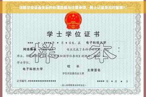 详解毕业证丢失后的处理流程与注意事项，网上记录及应对策略?✨