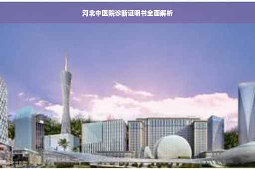 河北中医院诊断证明书全面解析