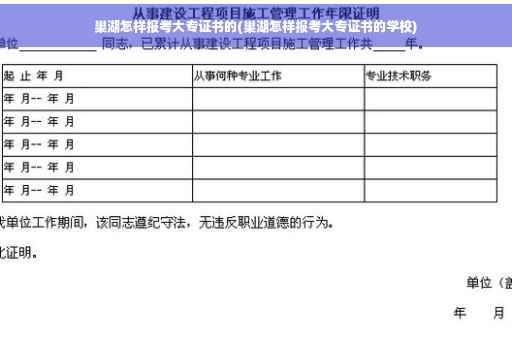巢湖怎样报考大专证书的(巢湖怎样报考大专证书的学校)