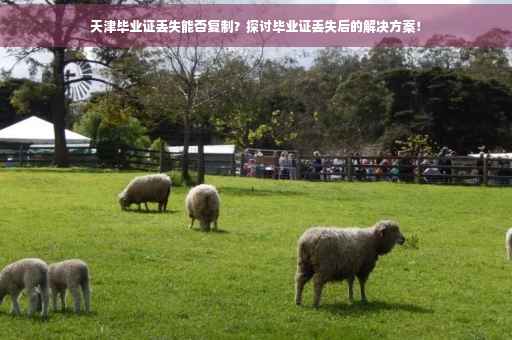 天津毕业证丢失能否复制？探讨毕业证丢失后的解决方案！