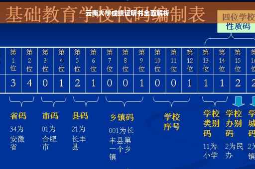 云南大学成绩证明书全面解析