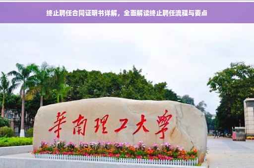 终止聘任合同证明书详解，全面解读终止聘任流程与要点