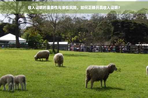 收入证明的重要性与潜在风险，如何正确开具收入证明？