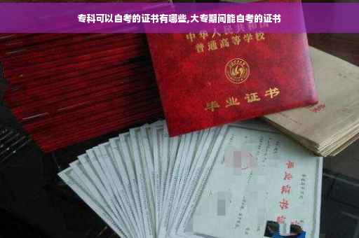 专科可以自考的证书有哪些,大专期间能自考的证书