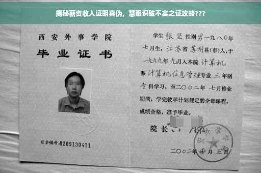 揭秘薪资收入证明真伪，慧眼识破不实之证攻略???