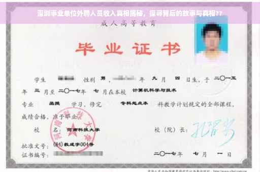 深圳事业单位外聘人员收入真相揭秘，探寻背后的故事与真相??