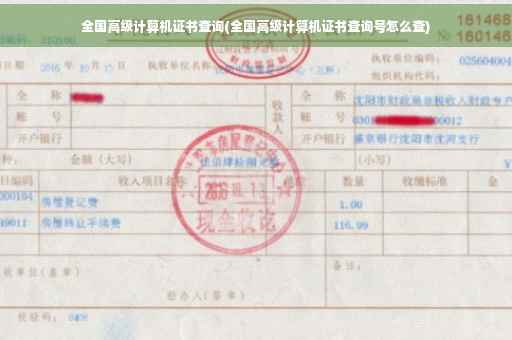 全国高级计算机证书查询(全国高级计算机证书查询号怎么查)