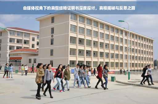 自媒体视角下的真假结婚证明书深度探讨，真相揭秘与反思之路
