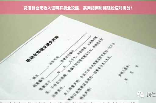 灵活就业无收入证明开具全攻略，实用指南助你轻松应对挑战！