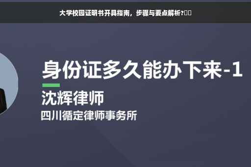 大学校园证明书开具指南，步骤与要点解析?⚡️