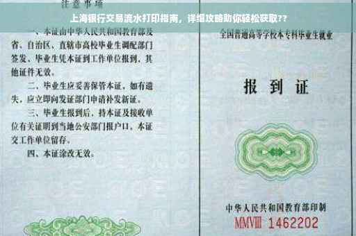 上海银行交易流水打印指南，详细攻略助你轻松获取??