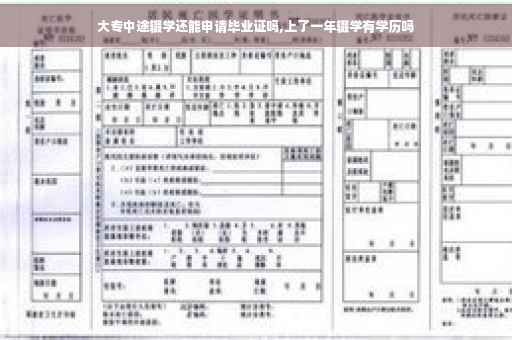 大专中途辍学还能申请毕业证吗,上了一年辍学有学历吗