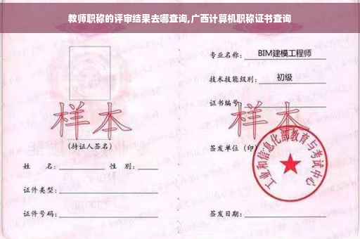 教师职称的评审结果去哪查询,广西计算机职称证书查询
