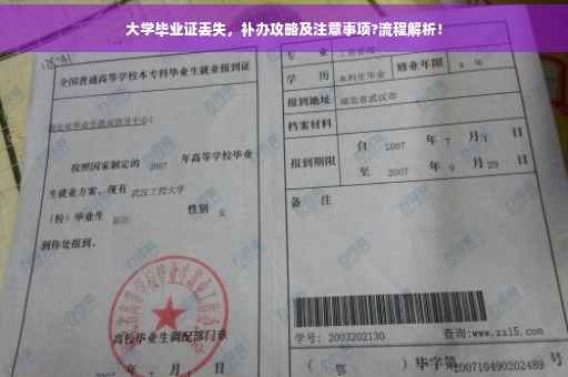 大学毕业证丢失，补办攻略及注意事项?流程解析！