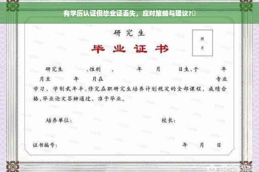 有学历认证但毕业证丢失，应对策略与建议?✨