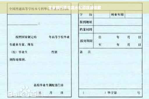 企业银行承兑流水打印攻略详解
