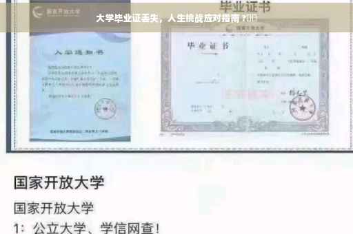 大学毕业证丢失，人生挑战应对指南 ?⚡️