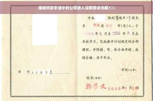 揭秘贷款申请中的公司收入证明要求详解?⚡️