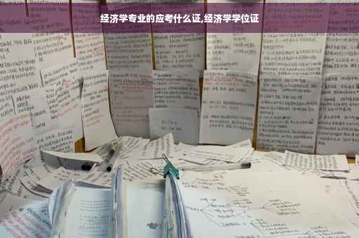 经济学专业的应考什么证,经济学学位证
