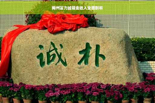 梅州富力城租金收入全面剖析