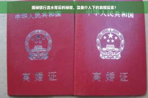 揭秘银行流水背后的秘密，监委介入下的真相探索?