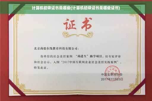 计算机初级证书是哪些(计算机初级证书是哪些证书)