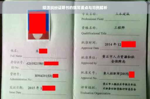 经济纠纷证明书的撰写要点与范例解析