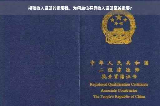 揭秘收入证明的重要性，为何单位开具收入证明至关重要？