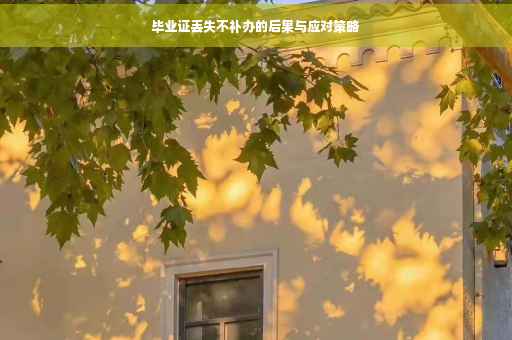 毕业证丢失不补办的后果与应对策略