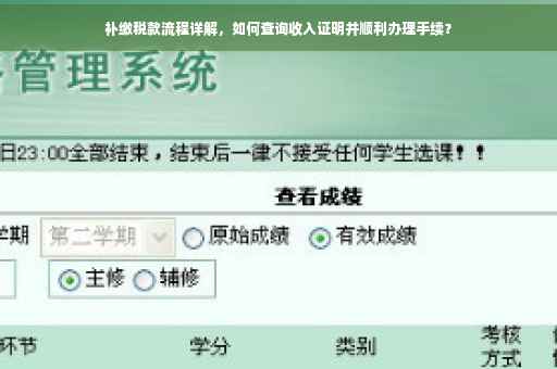 补缴税款流程详解，如何查询收入证明并顺利办理手续？