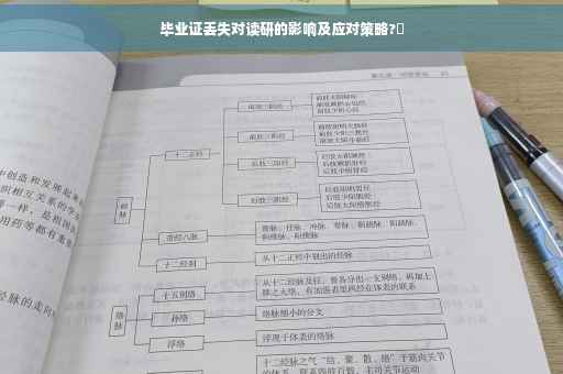 毕业证丢失对读研的影响及应对策略?✨