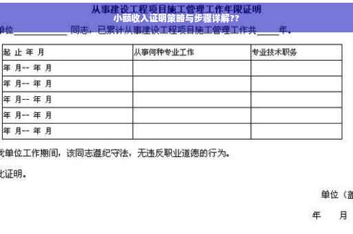 小额收入证明策略与步骤详解??