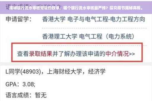 揭秘银行流水审核背后的故事，哪个银行流水审核最严格？探究细节揭秘真相。