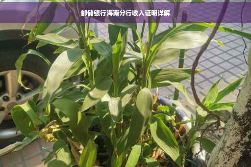 邮储银行海南分行收入证明详解
