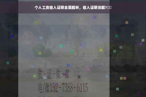 个人工资收入证明全面解析，收入证明详解?⚡️