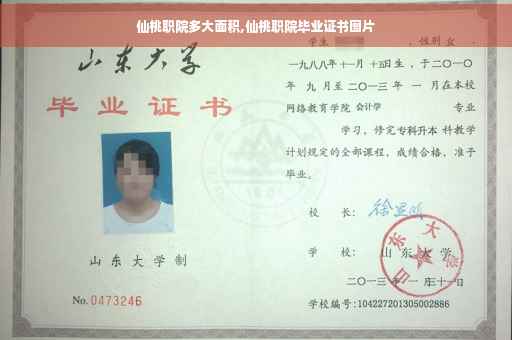 仙桃职院多大面积,仙桃职院毕业证书图片