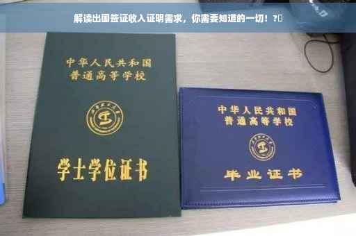 解读出国签证收入证明需求，你需要知道的一切！?✨