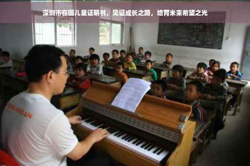 深圳市在园儿童证明书，见证成长之路，培育未来希望之光