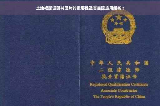 土地权属证明书图片的重要性及其实际应用解析 ?