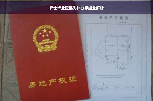 护士毕业证丢失补办手续全解析