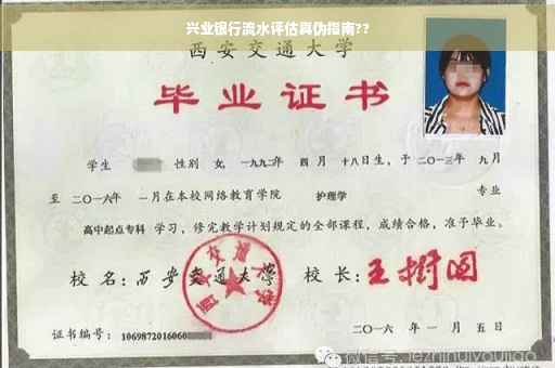 兴业银行流水评估真伪指南??