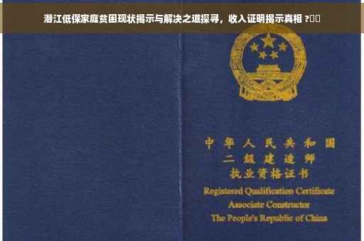 潜江低保家庭贫困现状揭示与解决之道探寻，收入证明揭示真相 ?⚡️