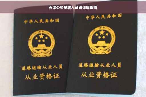 天津公务员收入证明详解指南