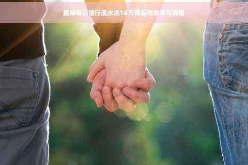 揭秘每日银行流水达16万背后的故事与真相