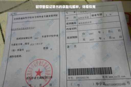 韧带断裂证明书的获取与解析，详细指南