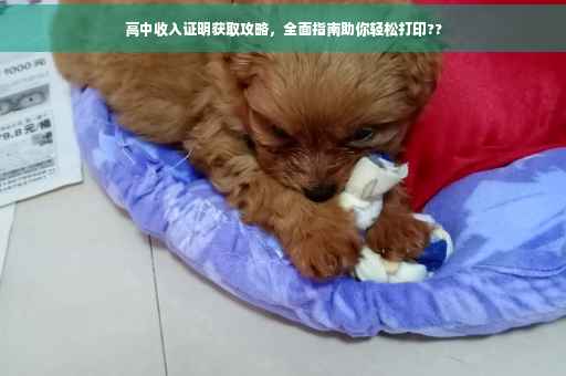 高中收入证明获取攻略，全面指南助你轻松打印??