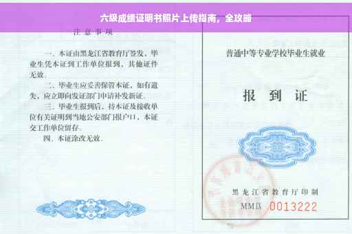 六级成绩证明书照片上传指南，全攻略